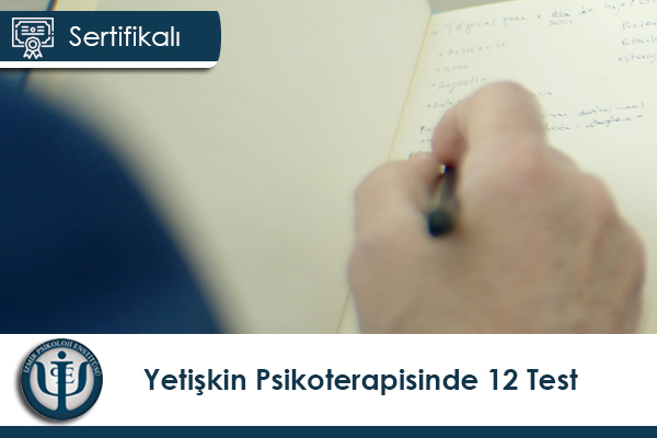 Yetişkin Psikoterapisinde 12 Test Eğitimi